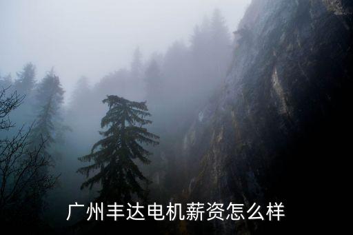 廣州豐達電機工資多少，廣州豐達電機薪資怎么樣