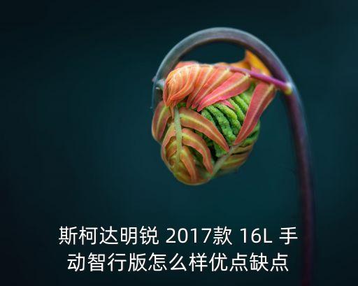 斯柯達明銳 2017款 16L 手動智行版怎么樣優點缺點