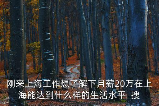 剛來(lái)上海工作想了解下月薪20萬(wàn)在上海能達(dá)到什么樣的生活水平  搜