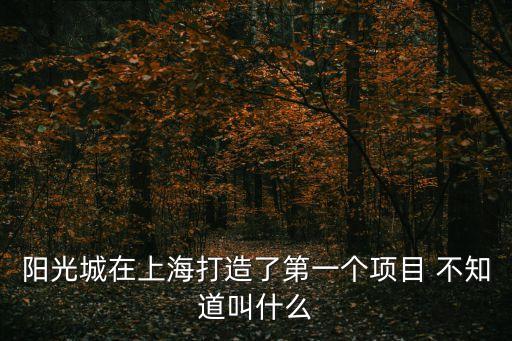 陽光城在上海打造了第一個項目 不知道叫什么