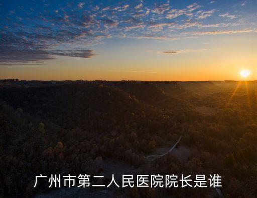 廣州市第二人民醫院院長是誰