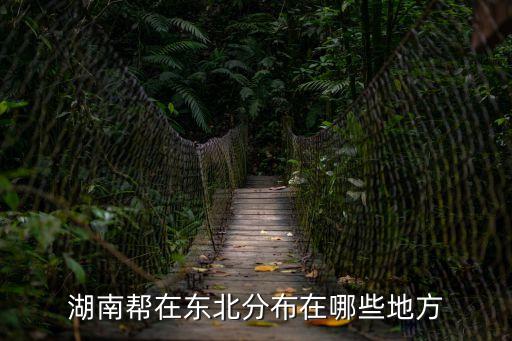 廣州湖南幫打東北幫，湖南幫在東北分布在哪些地方