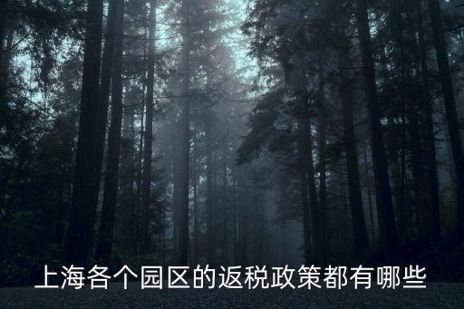 上海各個園區的返稅政策都有哪些