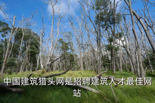 廣州局土建工程師招聘信息網，電力設計網sjeppjobcom聘 土建 設計師