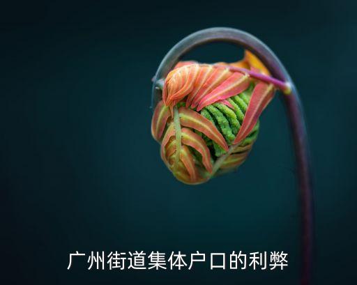 廣州集體戶口的優缺點，廣州集體戶口有什么好處