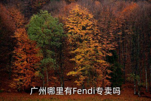 芬迪怎么是廣州的牌子，廣州哪里有Fendi專賣嗎