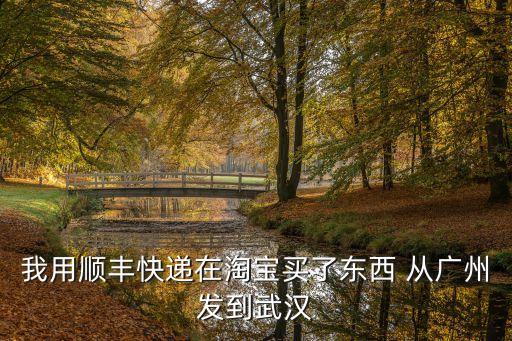 我用順豐快遞在淘寶買了東西 從廣州發到武漢