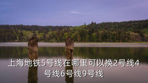 上海市郊鐵59號線，從上海南站坐地鐵到滬南公路3o59號怎么走