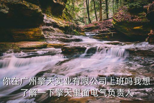 你在廣州擎天實業有限公司上班嗎我想了解一下擎天里面電氣負責人