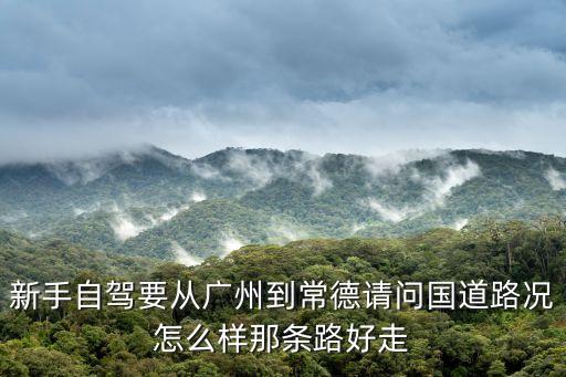 新手自駕要從廣州到常德請問國道路況怎么樣那條路好走