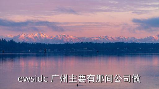 廣州納諾信息科技有限公司，ewsidc 廣州主要有那間公司做