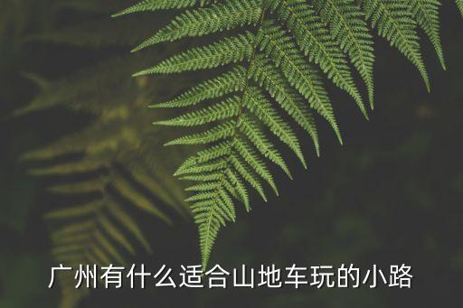廣州火爐山山地車，廣州有什么適合山地車玩的小路