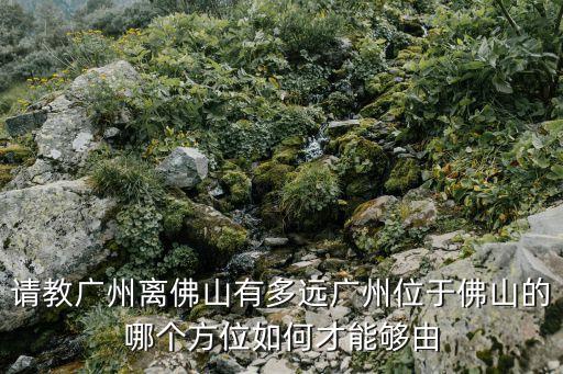 請(qǐng)教廣州離佛山有多遠(yuǎn)廣州位于佛山的哪個(gè)方位如何才能夠由