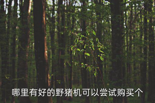哪里有好的野豬機可以嘗試購買個