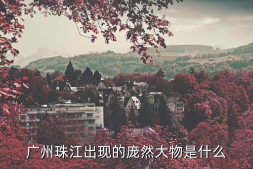 廣州珠江出現(xiàn)的龐然大物是什么