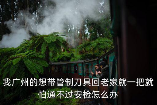 廣州海關(guān)銷毀管制刀具，提問 關(guān)于管制刀具過海關(guān)的問題