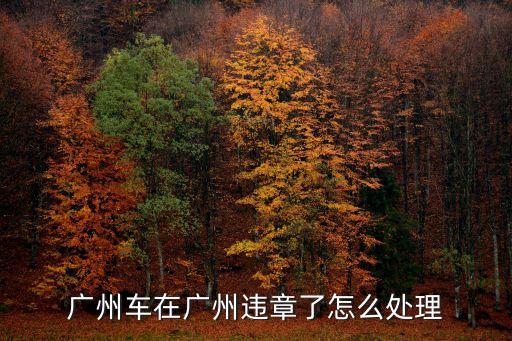 廣州車違章處理，廣州的交通違章在哪里可以處理