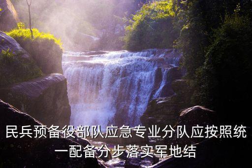 民兵預備役部隊應急專業分隊應按照統一配備分步落實軍地結