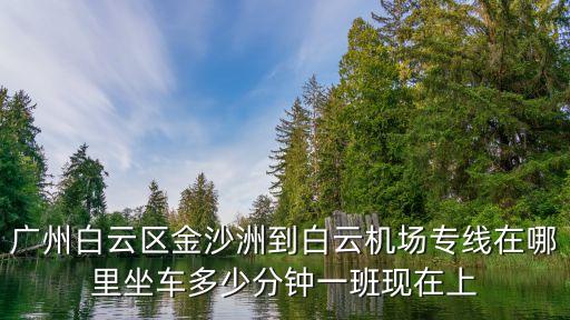 廣州白云區金沙洲到白云機場專線在哪里坐車多少分鐘一班現在上
