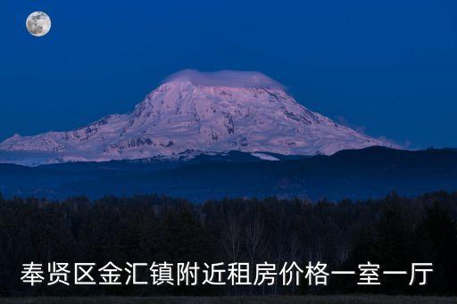 上海市奉賢區(qū)金匯房價，上海金匯路518弄金匯四街坊的樓盤大約在什么價位一平米