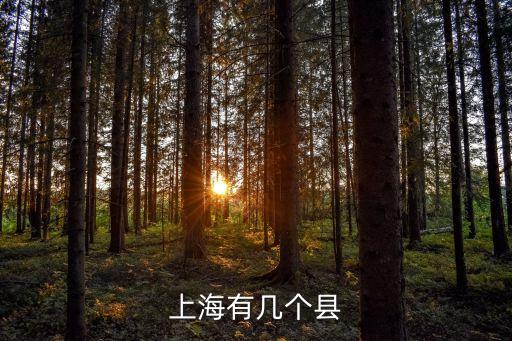 上海市地王縣，上海有幾個(gè)縣