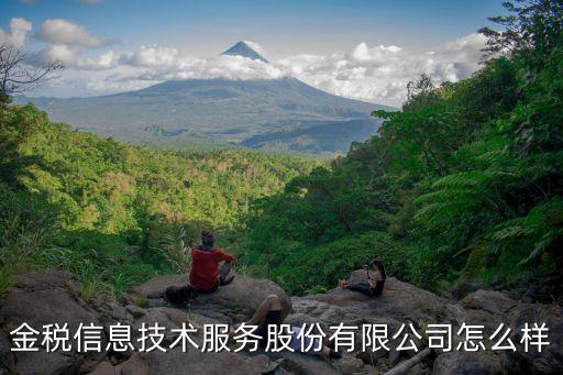 廣州金稅信息系統，金稅系統開票怎么開