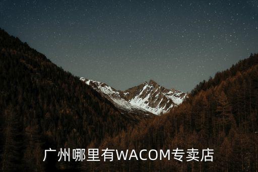 廣州哪里有WACOM專賣店
