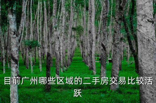 目前廣州哪些區域的二手房交易比較活躍