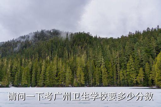 請問一下考廣州衛生學校要多少分數