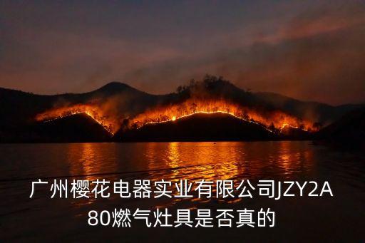 廣州櫻花電器實業有限公司JZY2A80燃氣灶具是否真的