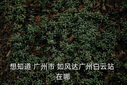 想知道 廣州市 如風達廣州白云站 在哪