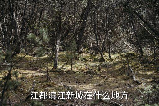 廣州濱江新城規劃2017，江都濱江新城在什么地方