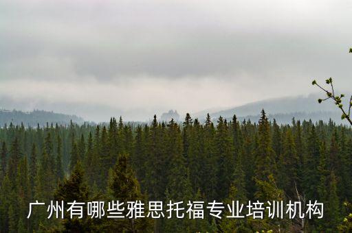 廣州有哪些雅思托福專業(yè)培訓(xùn)機(jī)構(gòu)