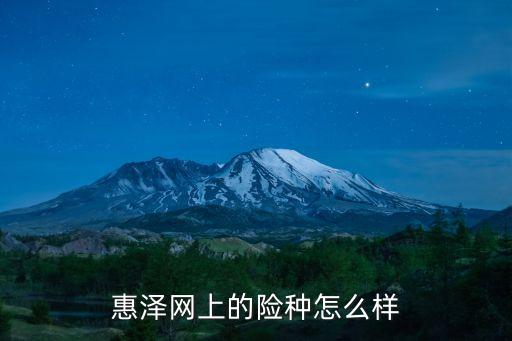 惠澤網上的險種怎么樣