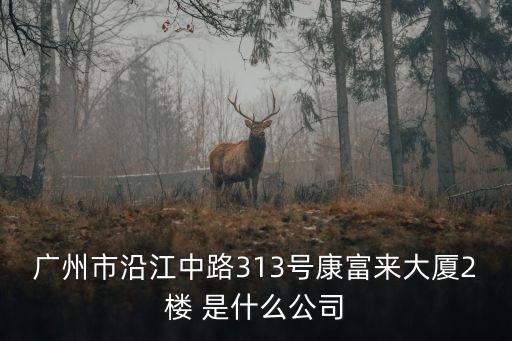 廣州市沿江中路313號(hào)康富來大廈2樓 是什么公司