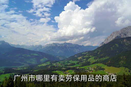 廣州市哪里有賣勞保用品的商店