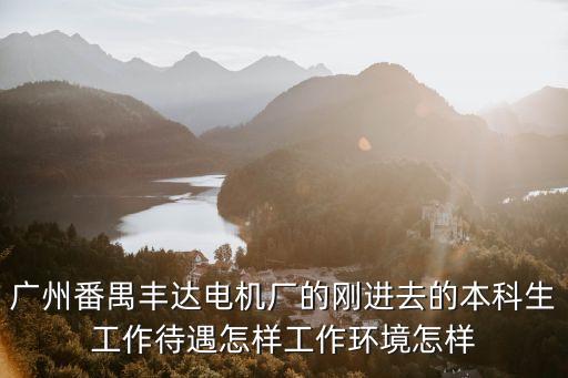 廣州番禺豐達電機廠的剛進去的本科生工作待遇怎樣工作環境怎樣