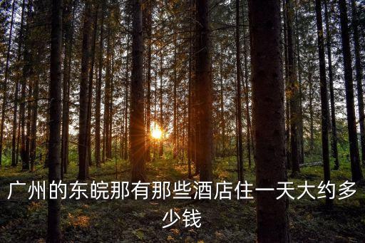 廣州的東皖那有那些酒店住一天大約多少錢(qián)