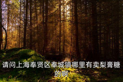 上海市奉賢區海灣鎮甜品店，請問上海奉賢區奉城鎮哪里有賣梨膏糖的啊
