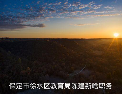 上海市政協陳建新職務，陳建新是哪國人