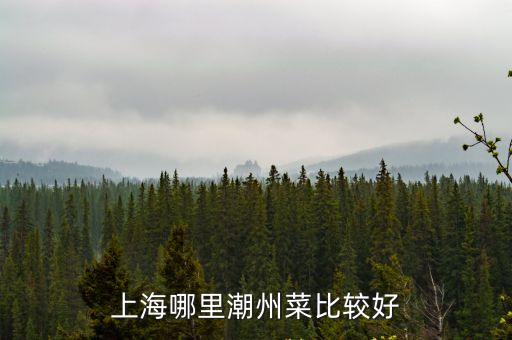 上海市潮州府，上海哪里潮州菜比較好