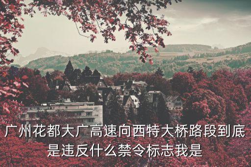 廣州花都大廣高速向西特大橋路段到底是違反什么禁令標志我是