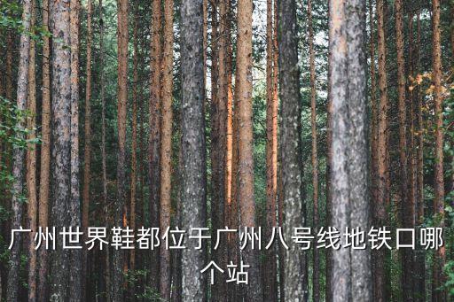 廣州世界鞋城附近地鐵，廣州世界鞋都位于廣州八號線地鐵口哪個站