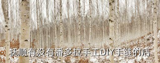 撫順有沒有潘多拉手工DIY手鏈的店