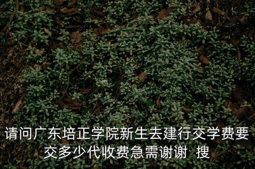 請問廣東培正學院新生去建行交學費要交多少代收費急需謝謝  搜