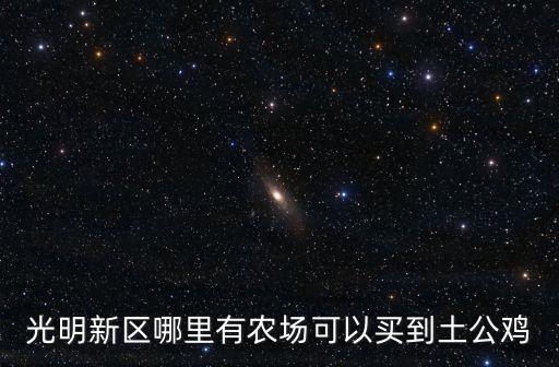 光明新區哪里有農場可以買到土公雞