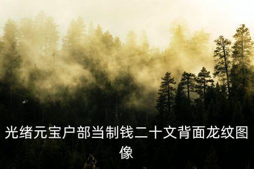 光緒元寶戶(hù)部當(dāng)制錢(qián)二十文背面龍紋圖像