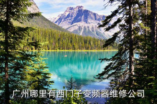 廣州水泵變頻器維修廠家，廣州變頻器維修
