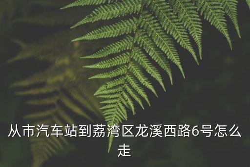 從市汽車站到荔灣區龍溪西路6號怎么走