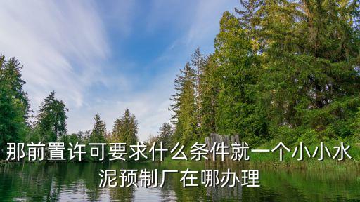 那前置許可要求什么條件就一個小小水泥預制廠在哪辦理